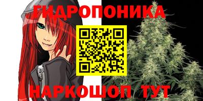 2c-b Новозыбков